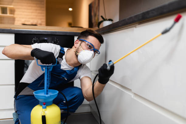 Best Residential Pest Control  in Perry, UT