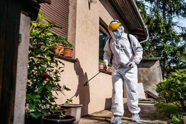 Best Mosquito Control Services  in Perry, UT