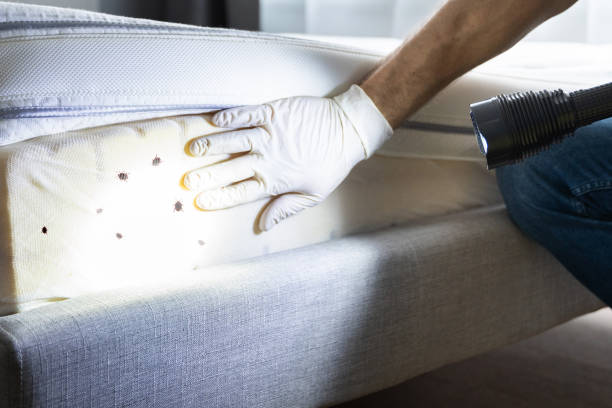 Best Commercial Pest Control Services  in Perry, UT