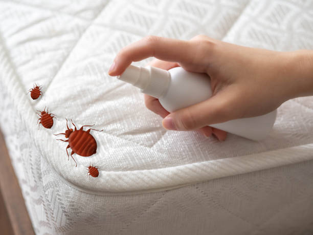 Best Best Pest Control Companies  in Perry, UT