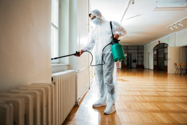Best Local Pest Control Services  in Perry, UT