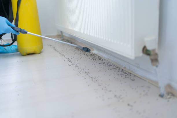 Best Exterminator Services  in Perry, UT