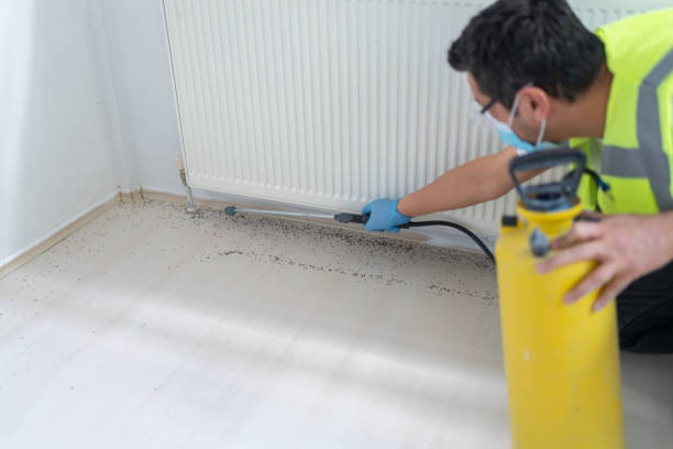 Best Emergency Pest Control  in Perry, UT