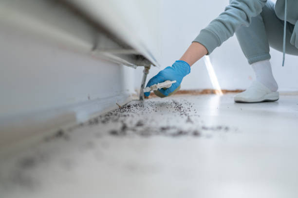 Best Best Pest Control Companies  in Perry, UT