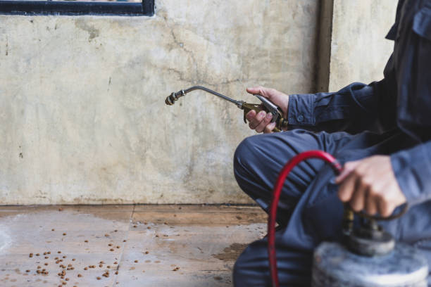 Best Cockroach Control Services  in Perry, UT